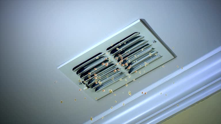 Best Air Duct Mold Removal  in St Stephens, NC