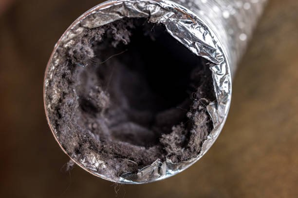 Best Ventilation Cleaning Services  in St Stephens, NC